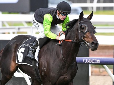 Realm Of Flowers Scores Melbourne Cup Berth Image 1